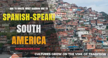 Brazil's Favelas: Cultural Parallels to Spanish South America's Barrios