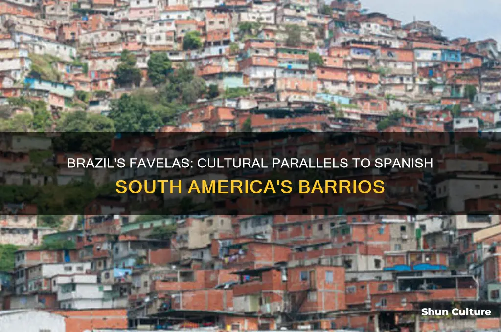 are to brazil what barrios are to spanish-speaking south america