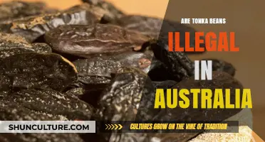 Are Tonka Beans Illegal in Australia? Uncovering the Legal Status