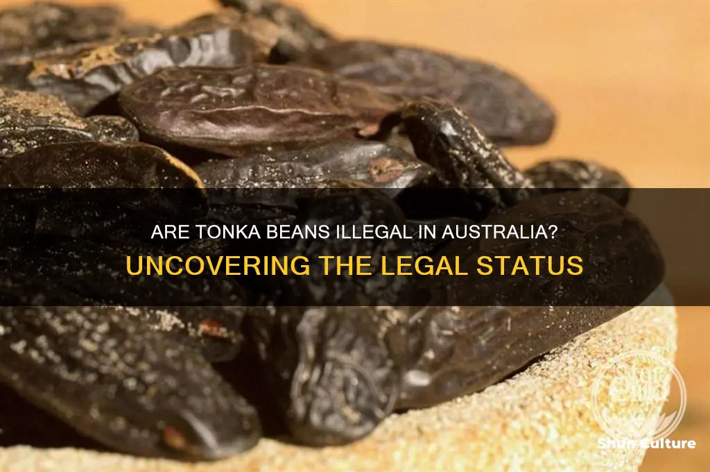 are tonka beans illegal in australia