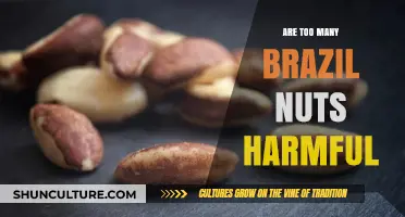 Brazil Nuts: Benefits vs. Risks of Overconsumption Explained
