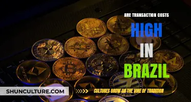Are Transaction Costs in Brazil Hindering Economic Growth?