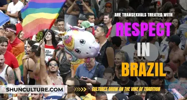 Respect for Transgender Individuals in Brazil: Reality or Illusion?