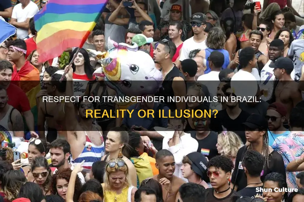 are transexuals treated with respect in brazil