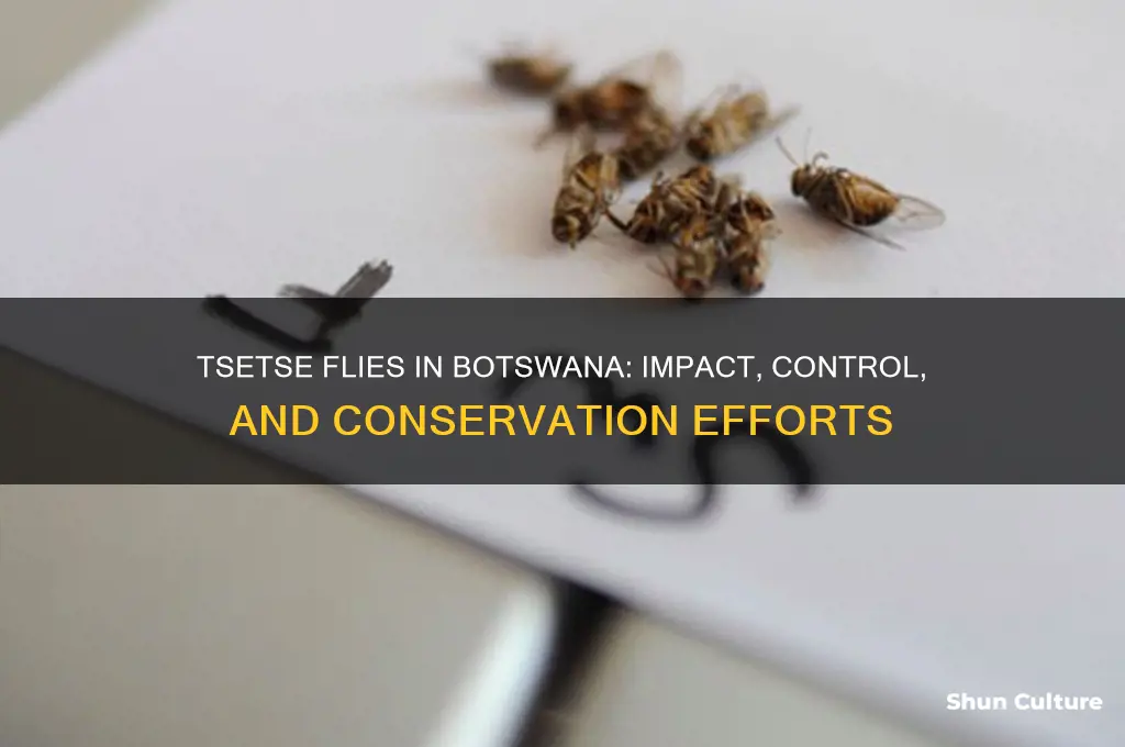 are tsetseflies in botswana