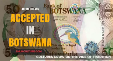 Can You Use US Dollars in Botswana? Currency Guide for Travelers