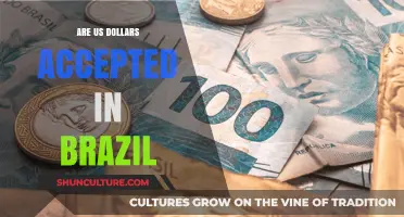 Can You Use US Dollars in Brazil? Currency Tips for Travelers