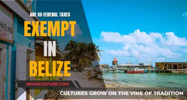 Federal Taxes: US Expat Belize Tax Exemptions