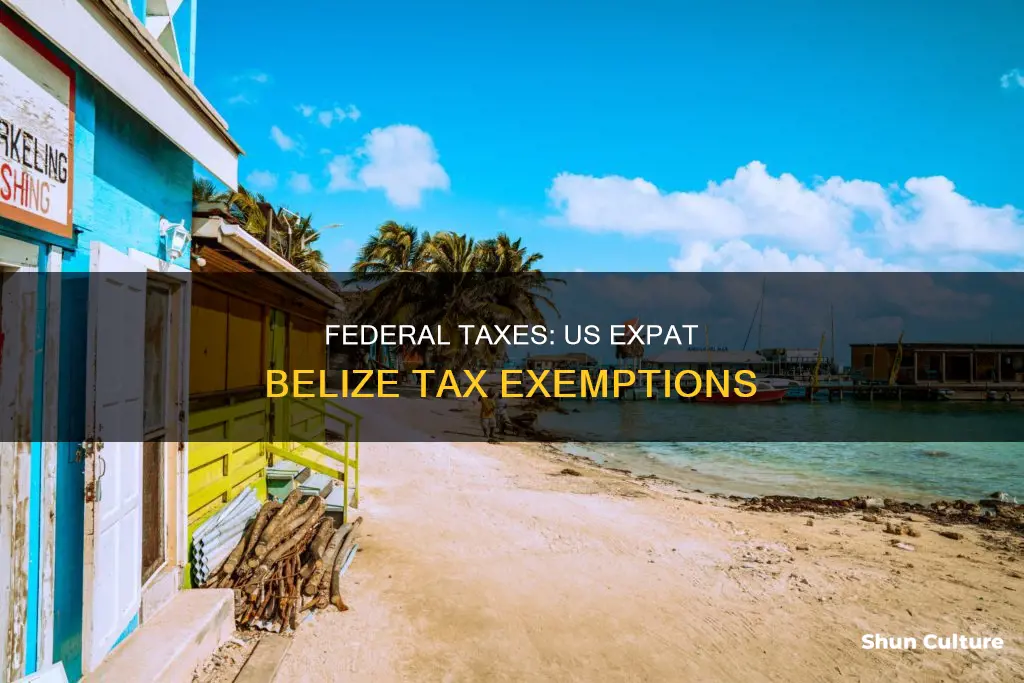 are us federal taxes exempt in belize