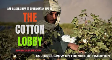 The Cotton Trail: Unraveling the Ties Between US Subsidies and Afghanistan's Cotton Lobby