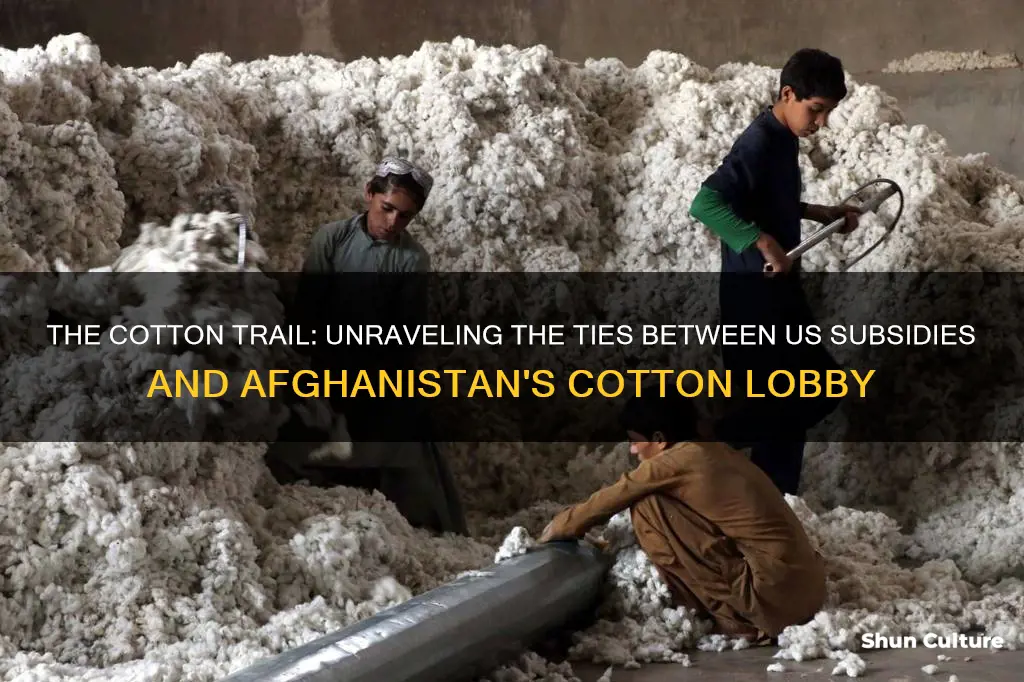 are us subsidies to afghanistan tied to the cotton lobby