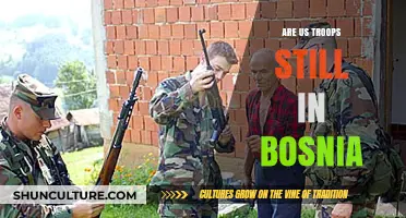 Are US Troops Still in Bosnia? Current Deployment Status Explained