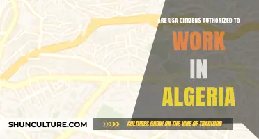 Can US Citizens Legally Work in Algeria? Visa Requirements Explained