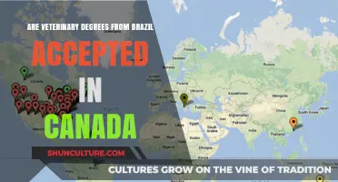 Brazilian Veterinary Degrees in Canada: Recognition and Career Opportunities