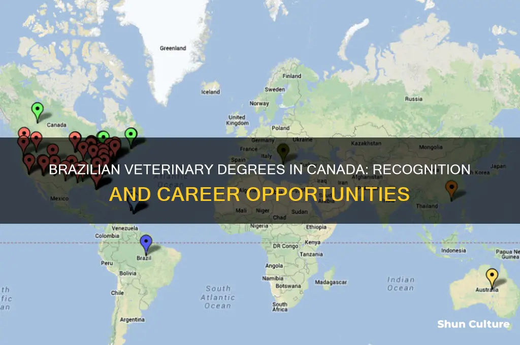 are veterinary degrees from brazil accepted in canada