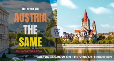 Exploring Austria: Vienna's Place and Identity