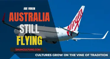 Virgin Australia's Future: Still Flying High?