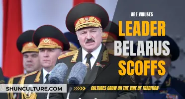 Belarus' Lukashenko: Are Viruses a Hoax?