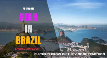Are Wages High in Brazil? Exploring Salary Trends and Economic Realities