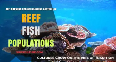 How Warming Oceans Affect Australian Reef Fish Populations
