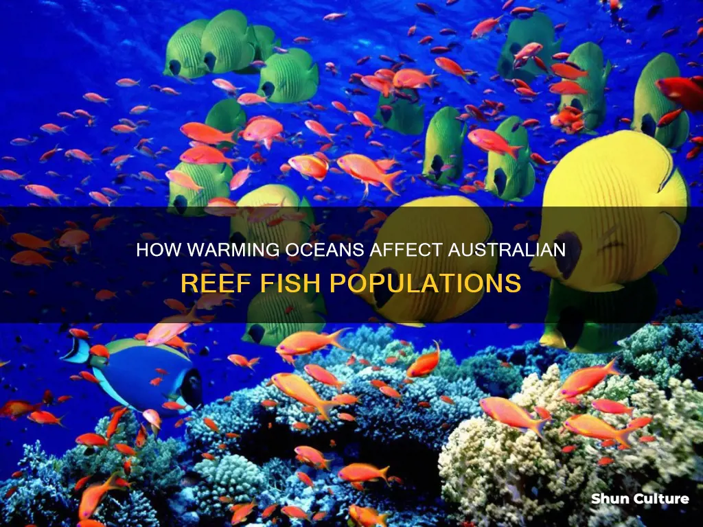 are warming oceans changing australian reef fish populations