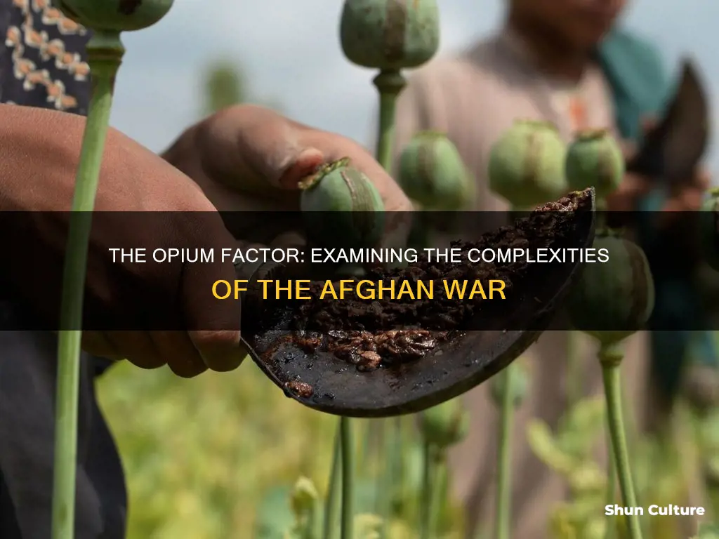 are we in afghanistan for opium