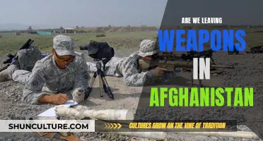 Weapons Left Behind: The Complex Legacy of Afghanistan