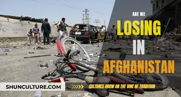 The Afghan Conundrum: Reassessing Strategies in a Complex War