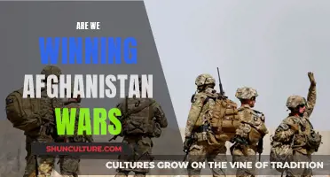 The Complex Legacy of the Afghanistan Wars: A Retrospective Analysis