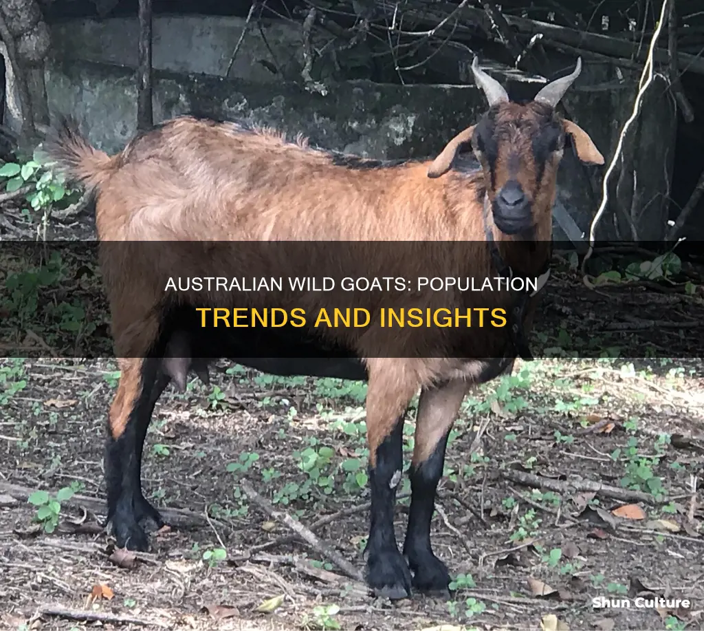 are wild goat populations in australia