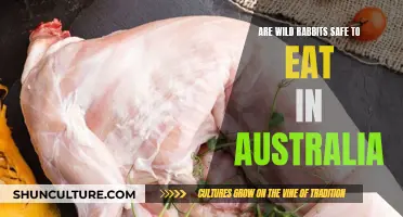 Eating Wild Rabbits in Australia: Safe or Not?
