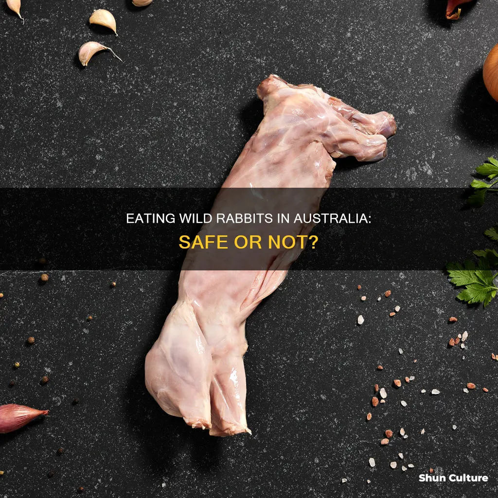 are wild rabbits safe to eat in australia