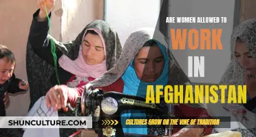 The Complex Reality of Women's Employment in Afghanistan