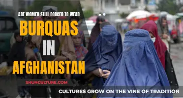 The Enduring Debate: Afghanistan and the Burqa