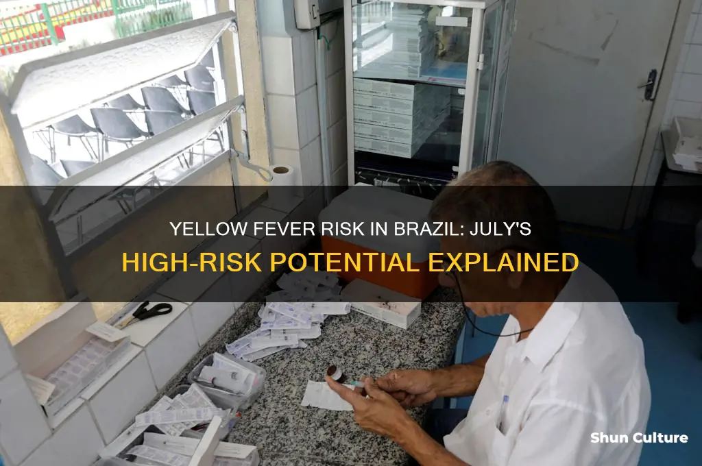are yellow fever high risk in july in brazil