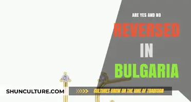 Exploring Bulgarian Culture: The Intriguing Case of Reversed Affirmations