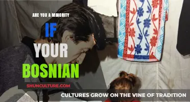 Are Bosnians a Minority? Exploring Identity and Representation Globally