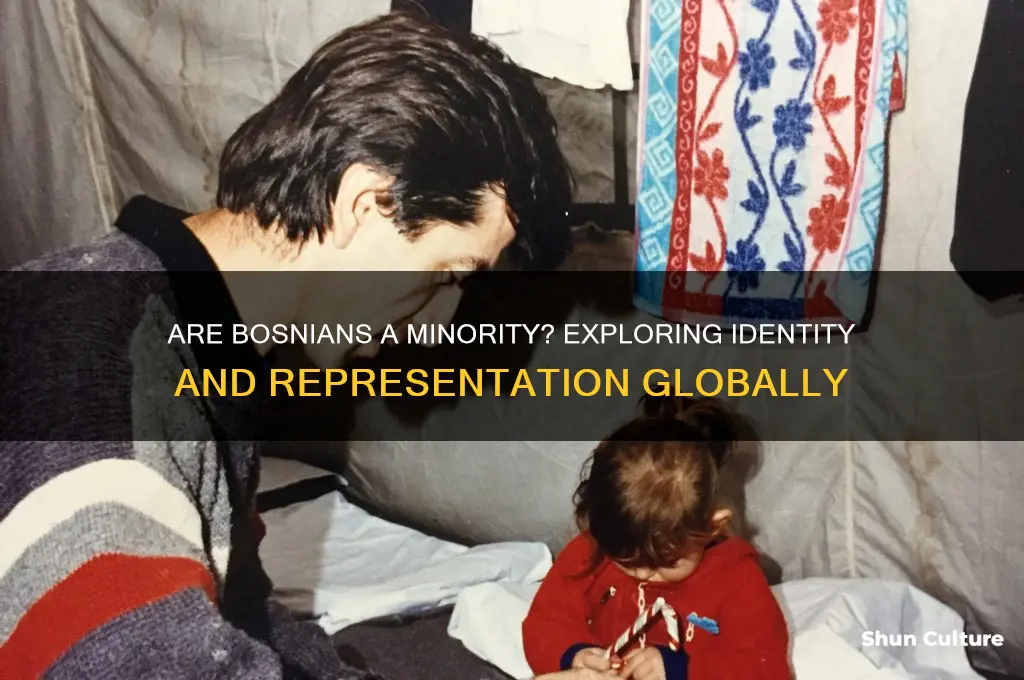 are you a minority if your bosnian