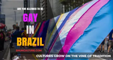 LGBTQ+ Rights in Brazil: Exploring Legal Protections and Social Acceptance