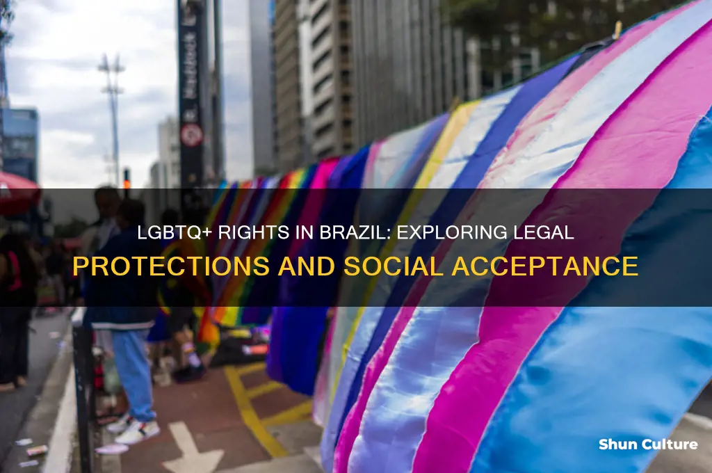 are you allowed to be gay in brazil