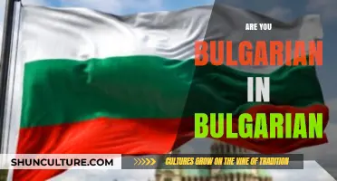 Exploring Bulgarian Identity: A Journey Through Language and Culture