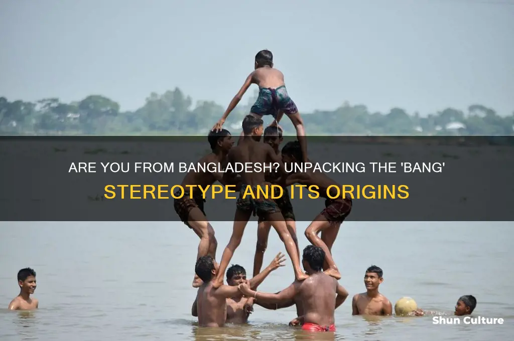 are you from bangladesh because you put the bang