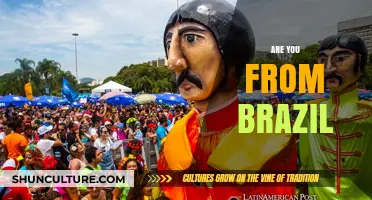 Exploring Cultural Identity: Are You From Brazil? Let’s Discuss!