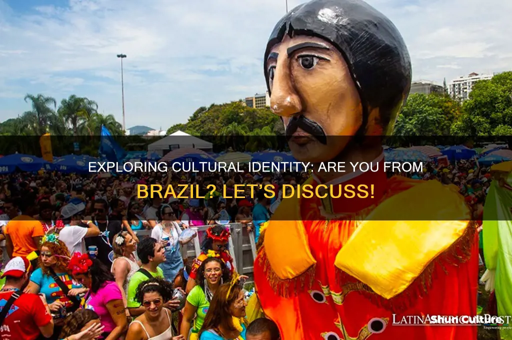 are you from brazil