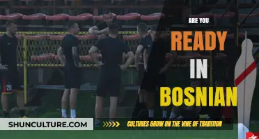 Jesi li spreman za izazov: Savjeti za uspjeh u Bosni