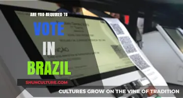 Is Voting Mandatory in Brazil? Understanding Electoral Obligations