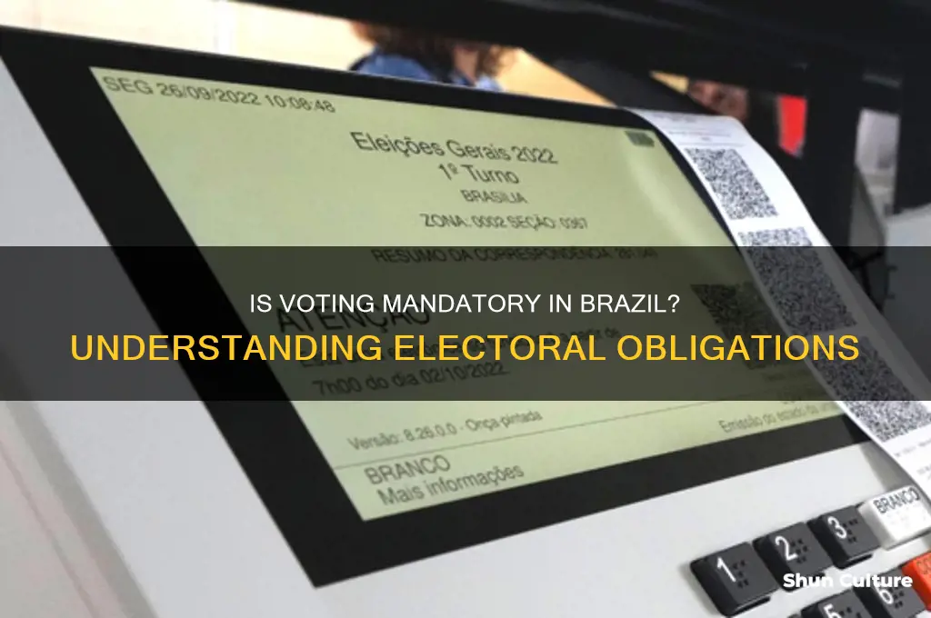 are you required to vote in brazil