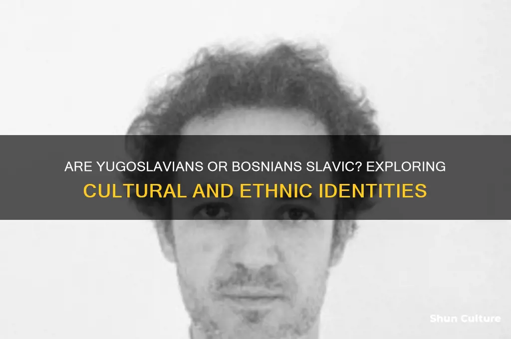 are you slavic if you are from yugoslavia or bosnia