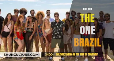Are You the One Brazil: Love, Drama, and Matchmaking Mayhem Explored