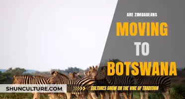 Zimbabweans Relocating to Botswana: Trends, Reasons, and Impacts Explored